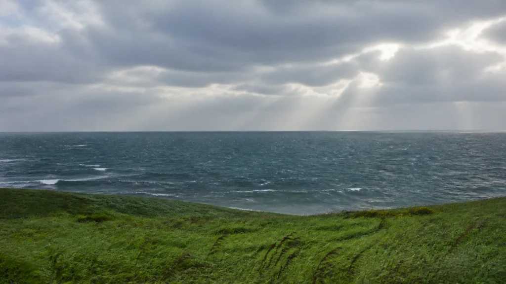 低い雲の切れ間から光の筋が射す、風のある日本海と海辺の草地