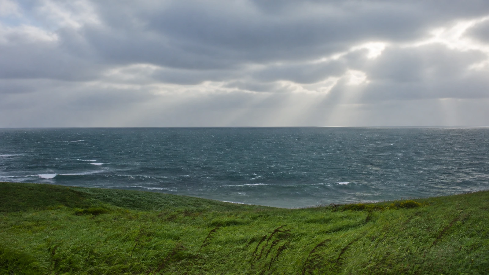 低い雲の切れ間から光の筋が射す、風のある日本海と海辺の草地