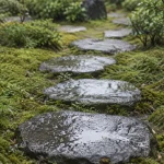 雨上がりの苔庭に続く飛び石